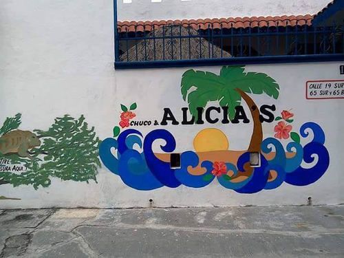 Alicia'S Bed & Breakfast Cozumel Exterior photo