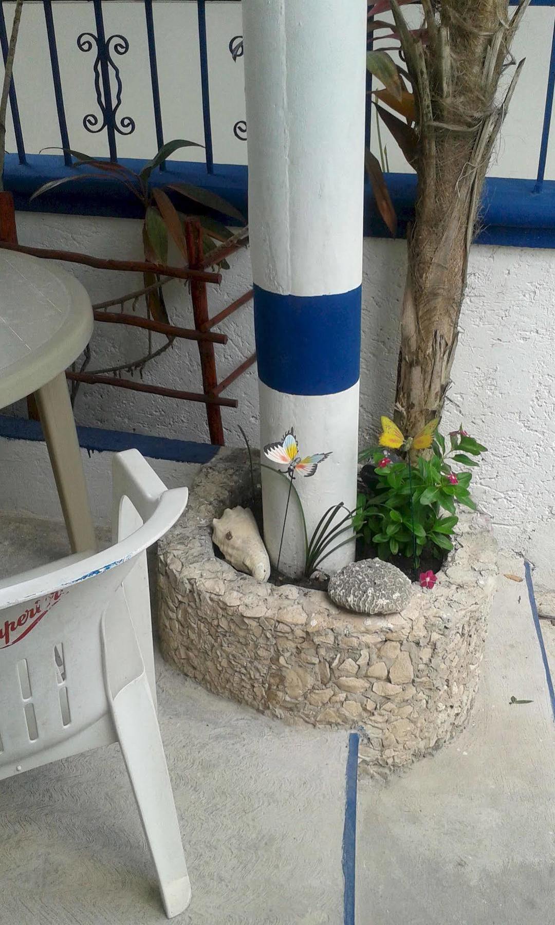 Alicia'S Bed & Breakfast Cozumel Exterior photo