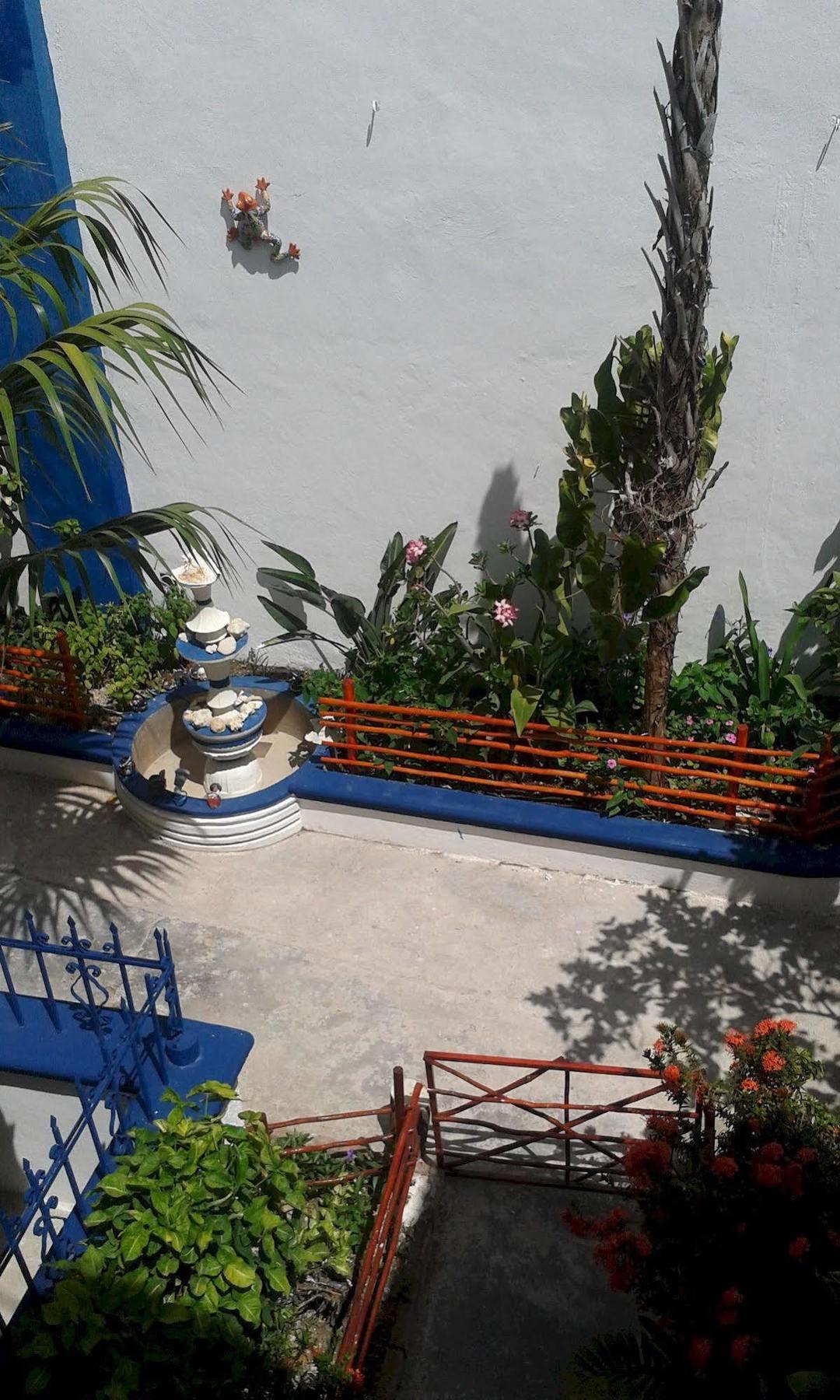 Alicia'S Bed & Breakfast Cozumel Exterior photo