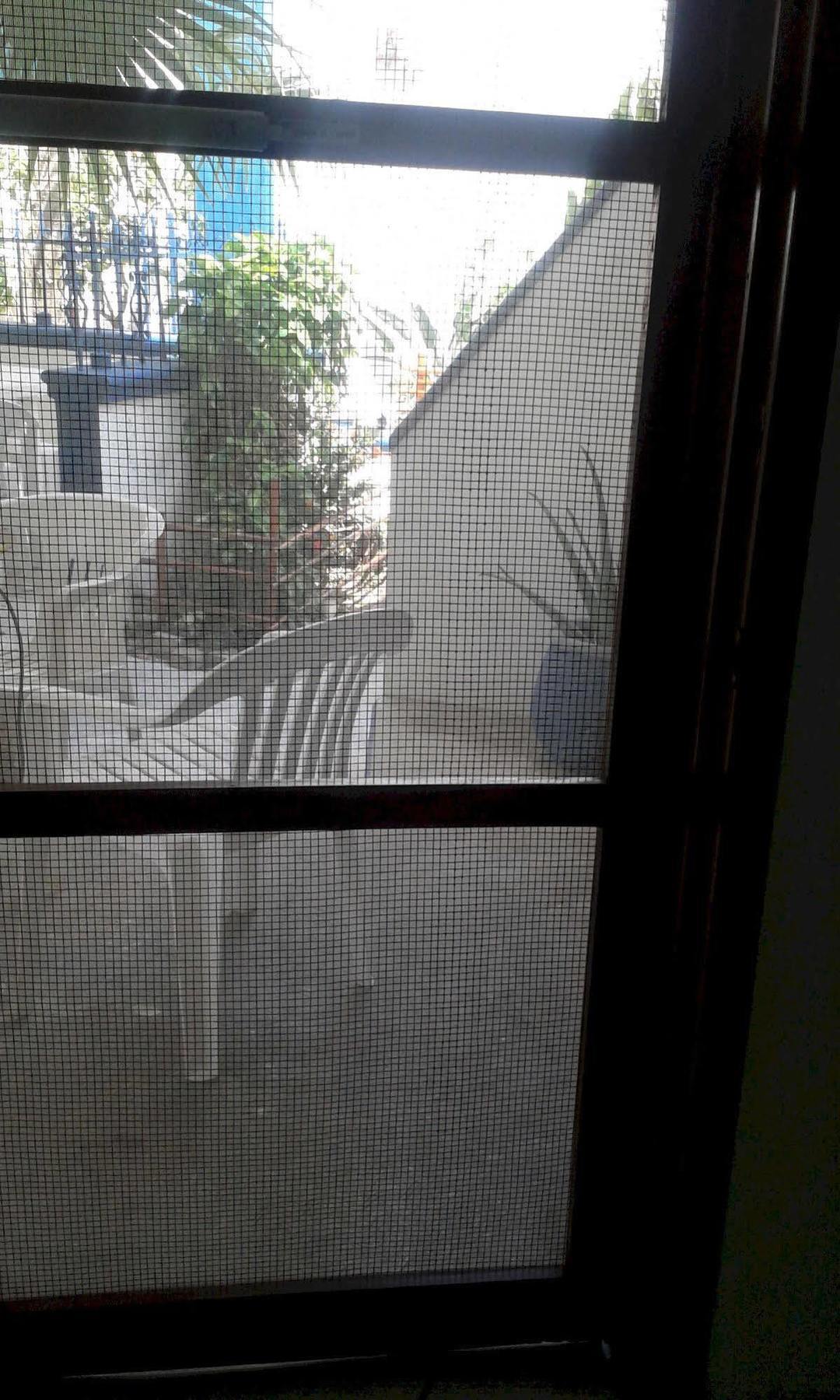 Alicia'S Bed & Breakfast Cozumel Exterior photo